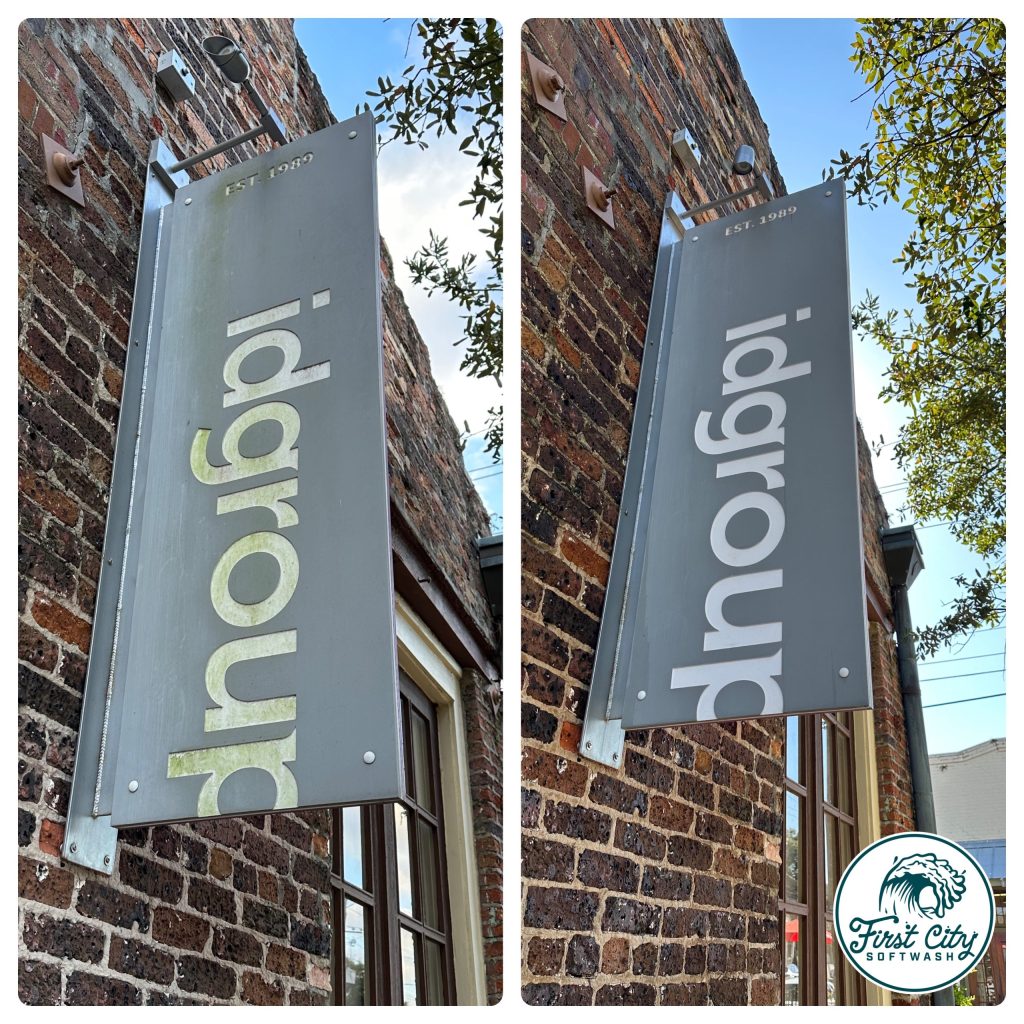 2023-02-18 (5)